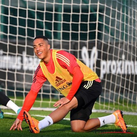 Youri Tielemans net worth