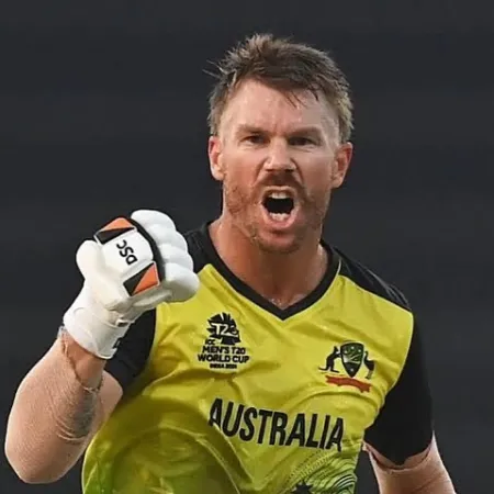 david warner t20 runs