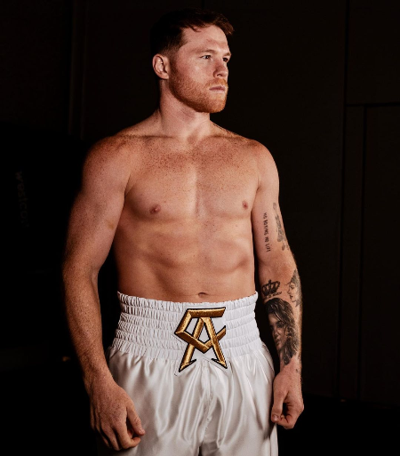 canelo alvarez net worth